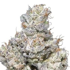NorthCountryPharms Grape Jelly Donut 3.5