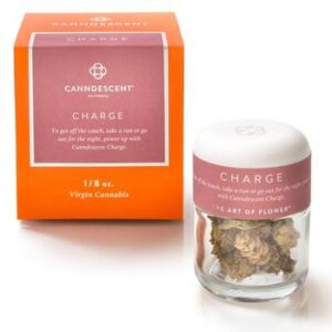 Canndescent - Charge 504