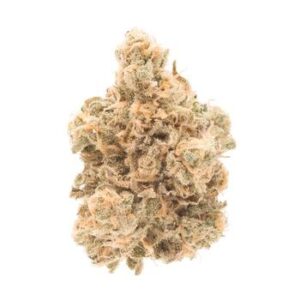 Canndescent - Cruise 201