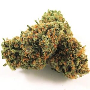 Canndescent - Cruise 207
