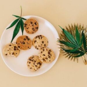 cookie pack - 100mg