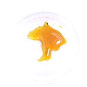 Grand Daddy Purple Shatter