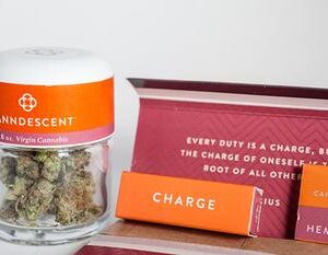 Canndescent - Create 303