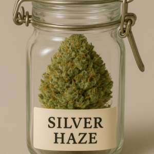 Belle's Silver Haze