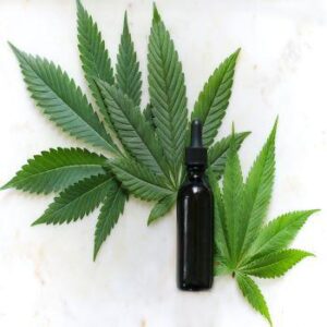Charlotte's Web CBD Tincture