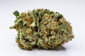 Bruce Banner